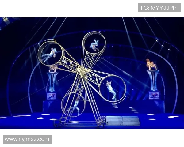 杂技演艺安全国际交流会聚焦高空防护，国际杂技安全联盟共推安全创新与杂技安全标准